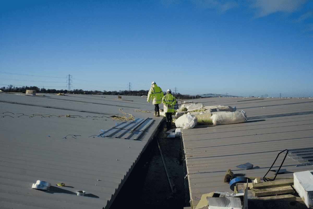 roof inspection